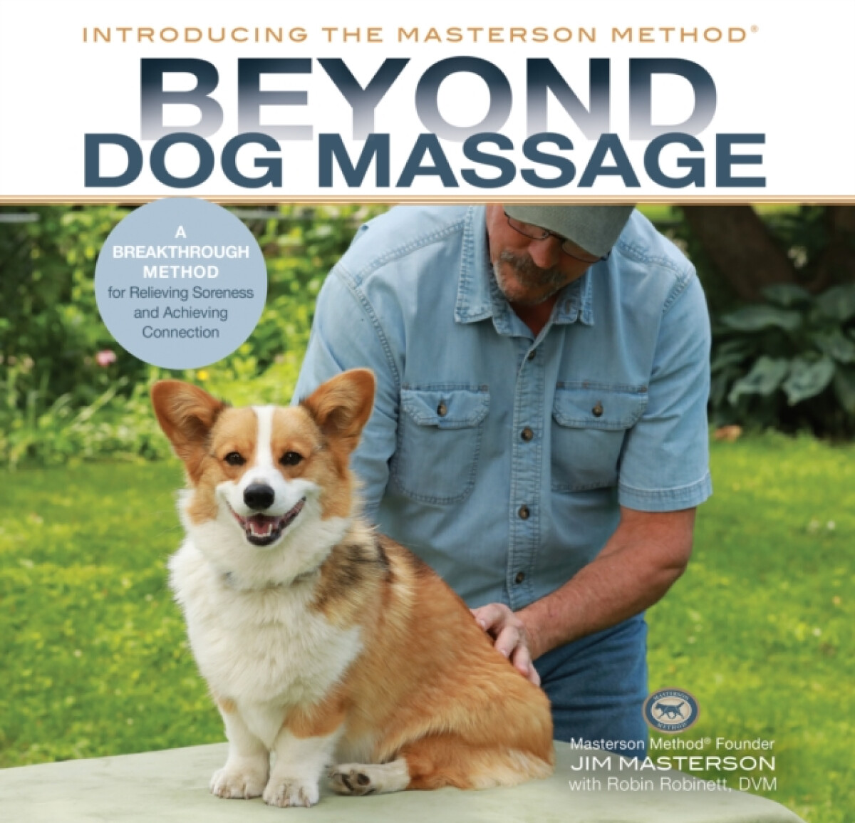 Kniha Beyond Dog Massage