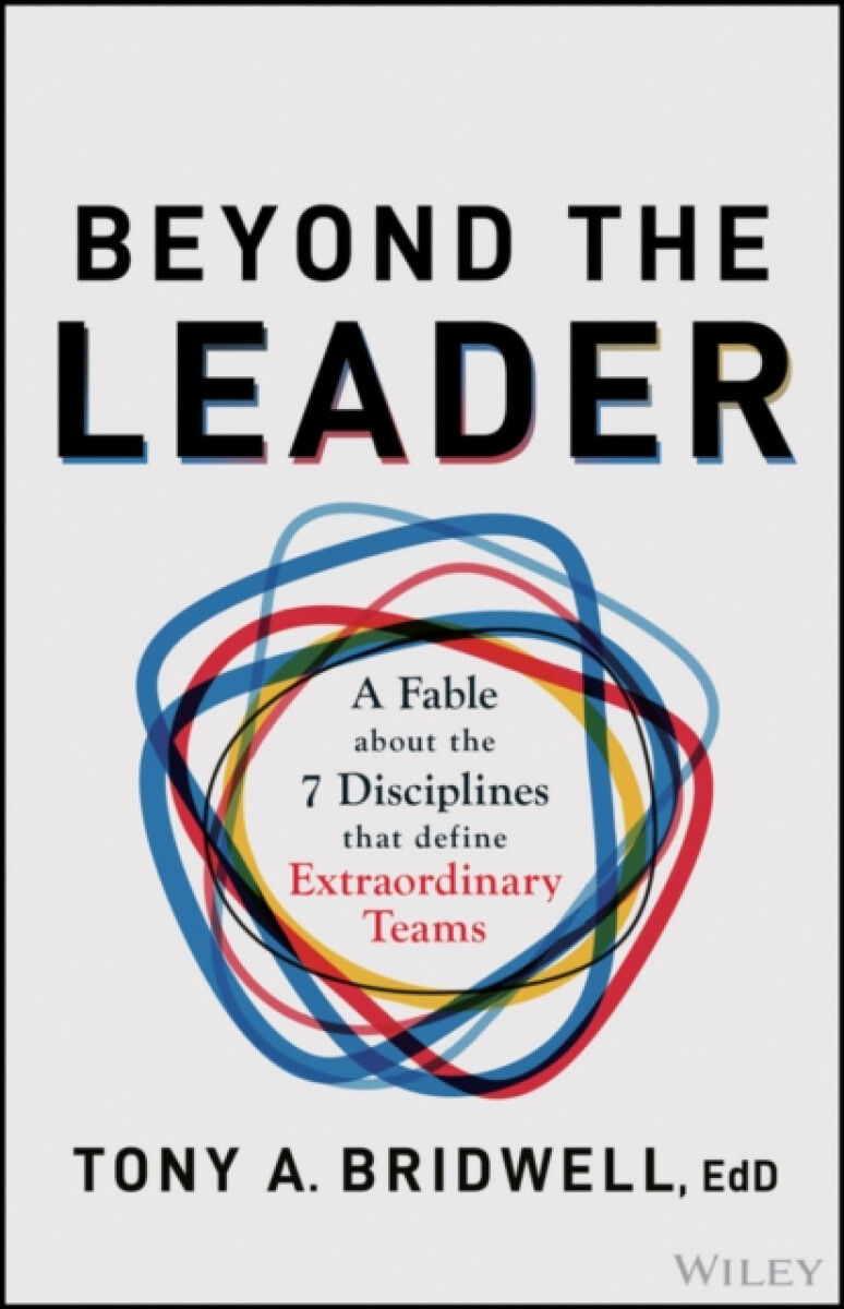 Kniha Beyond the Leader