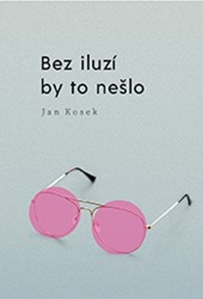 Kniha Bez iluzí by to nešlo