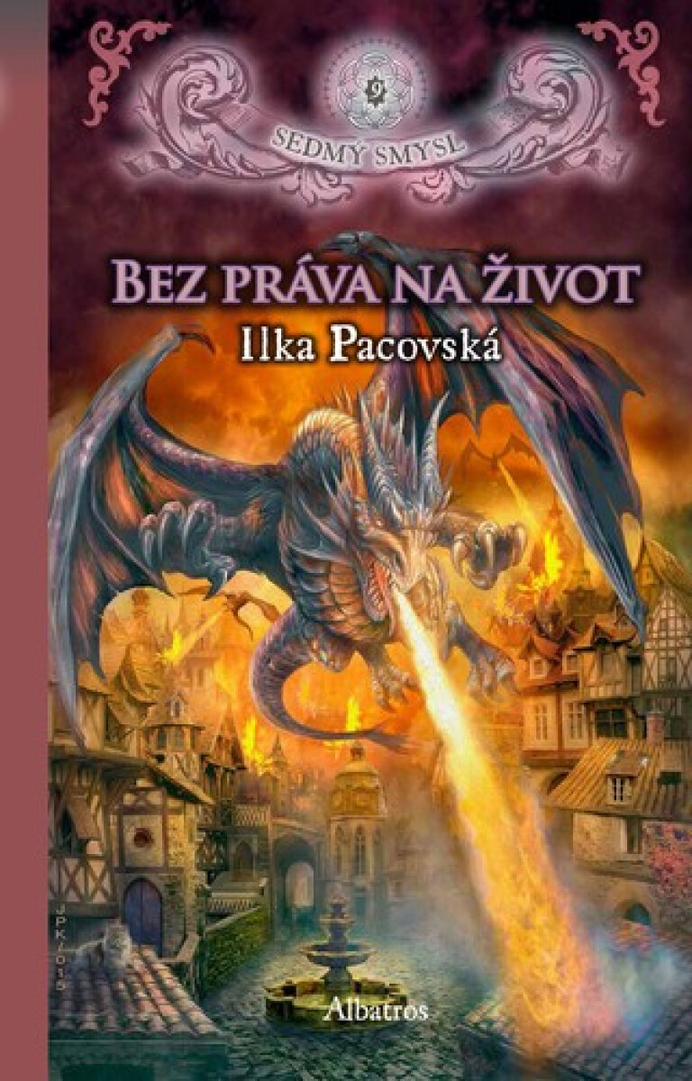 Kniha Bez práva na život (brož.)