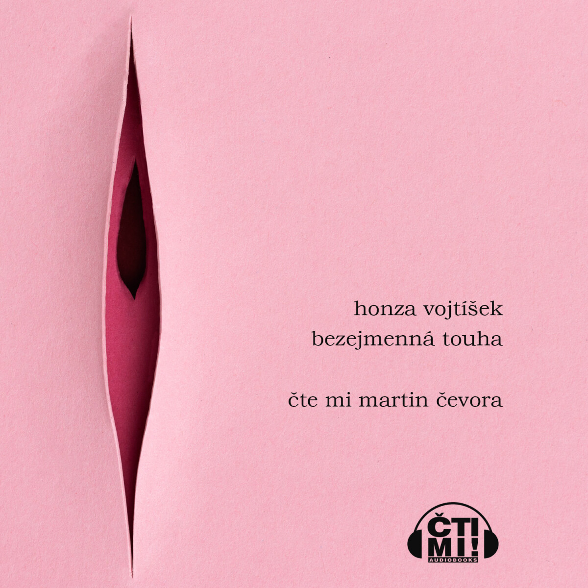 Bezejmenná touha - Honza Vojtíšek