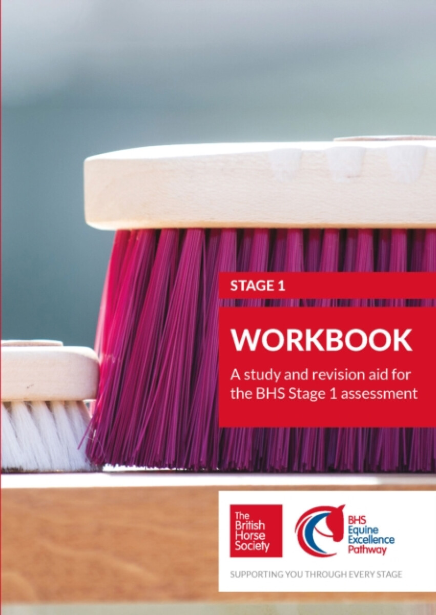 Kniha BHS Stage 1 Workbook