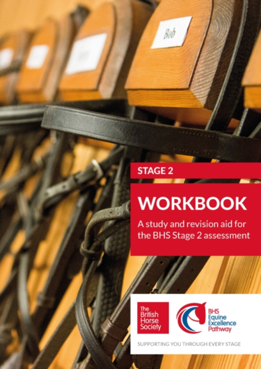 Kniha BHS Stage 2 Workbook