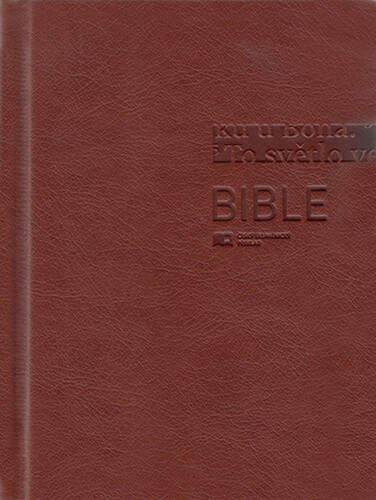 Bible 1293 hnědá