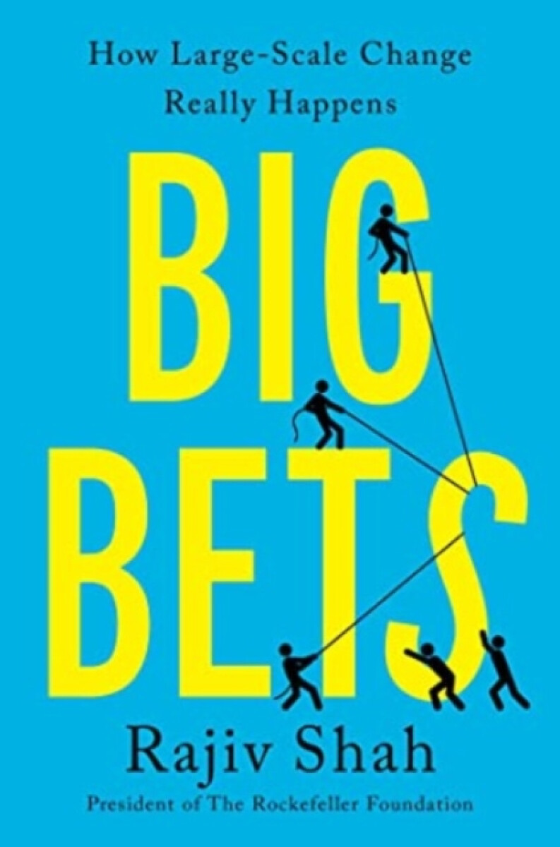 Kniha Big Bets