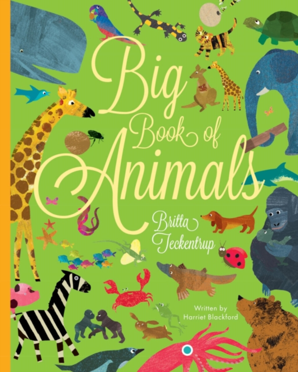 Kniha Big Book of Animals