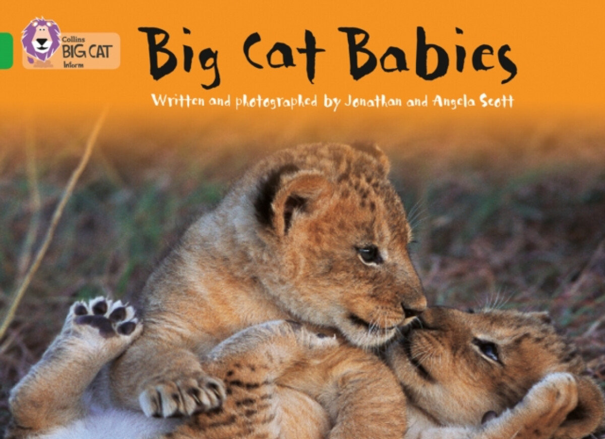Kniha Big Cat Babies