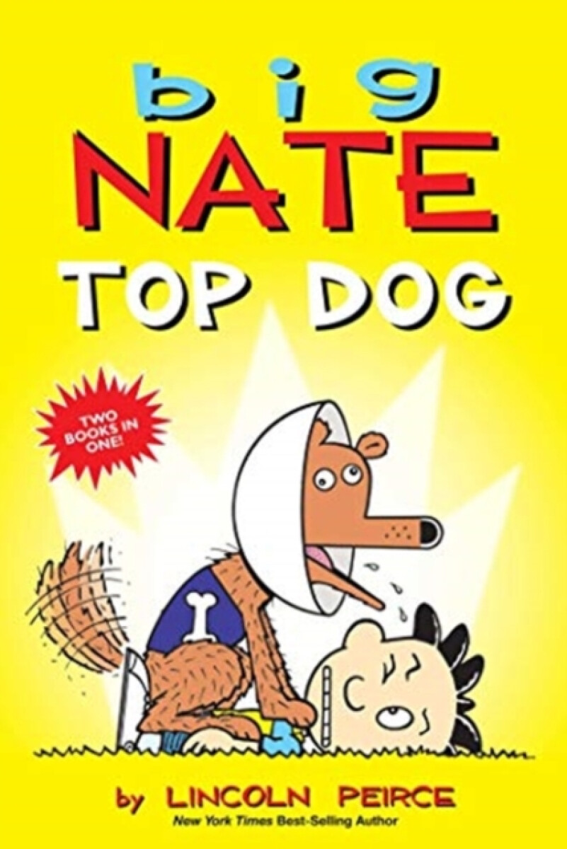 Kniha Big Nate: Top Dog