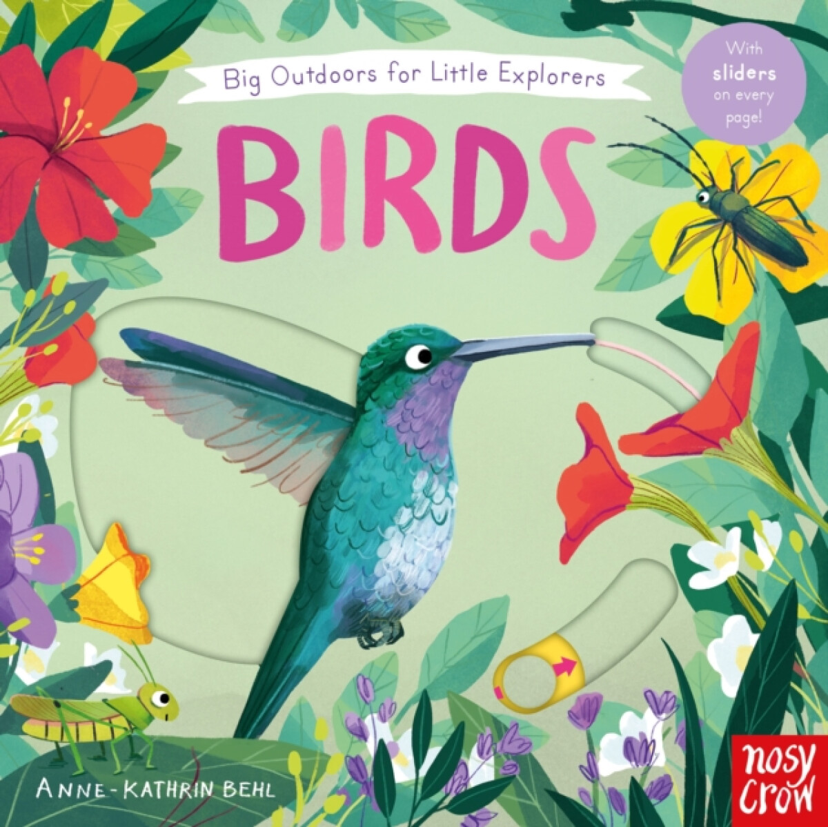 Levně Big Outdoors for Little Explorers: Birds - Nosy Crow Ltd