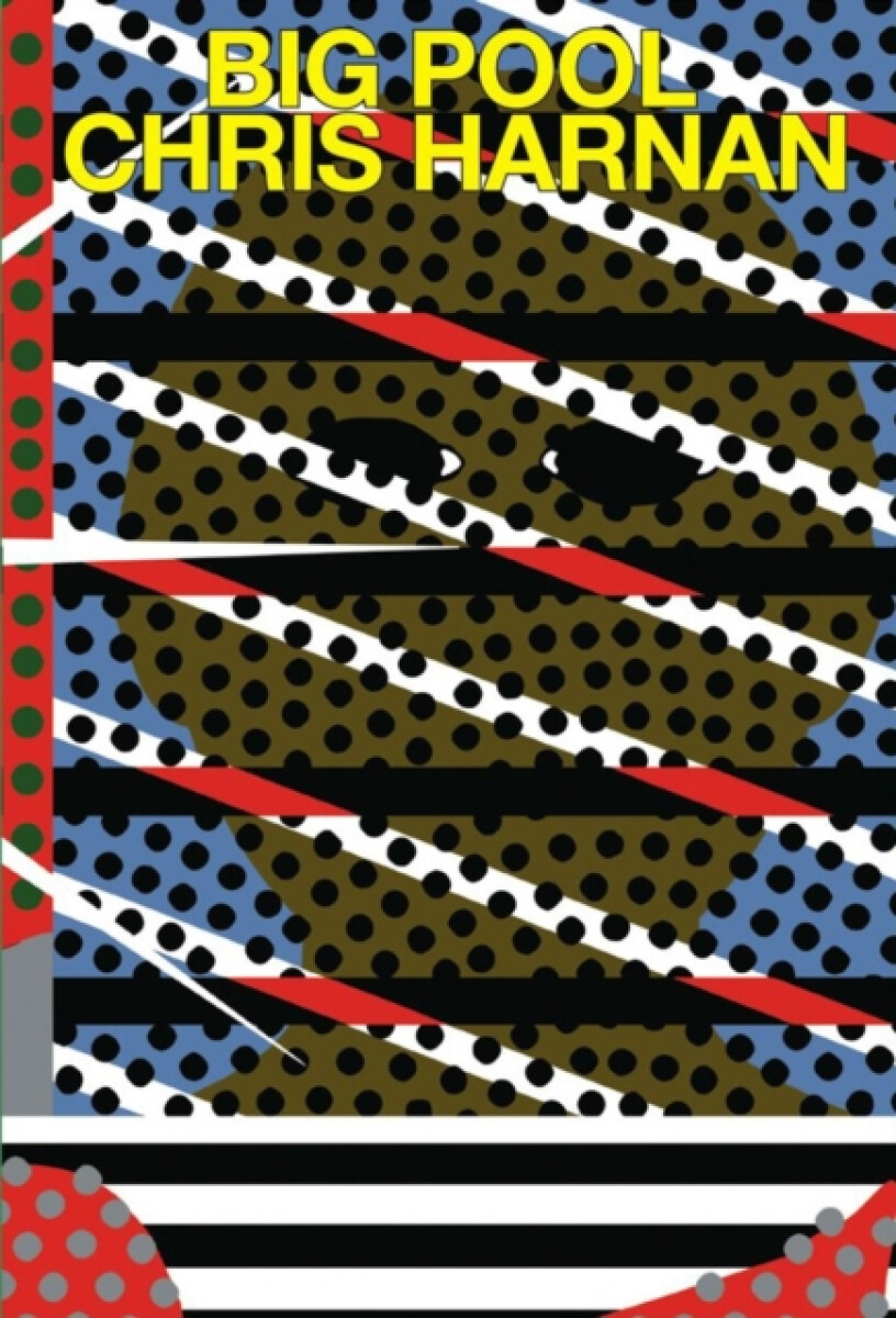 Kniha Big Pool