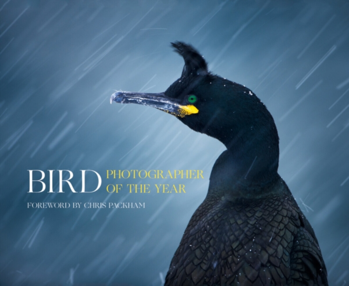 Bird Photographer of the Year koupíte na Knihydobrovsky.cz