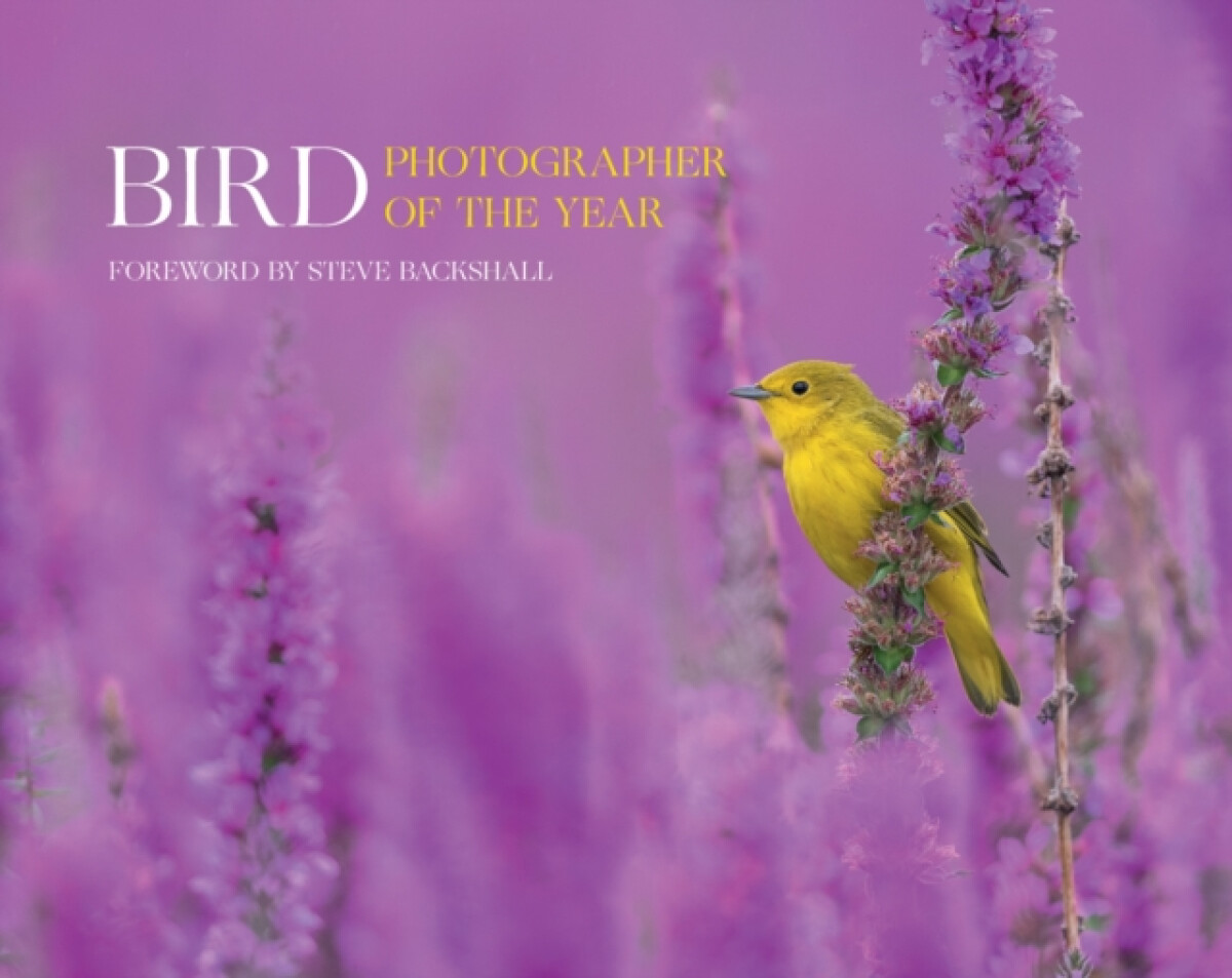 Kniha Bird Photographer of the Year