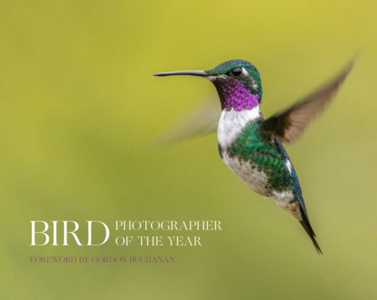Kniha Bird Photographer of the Year