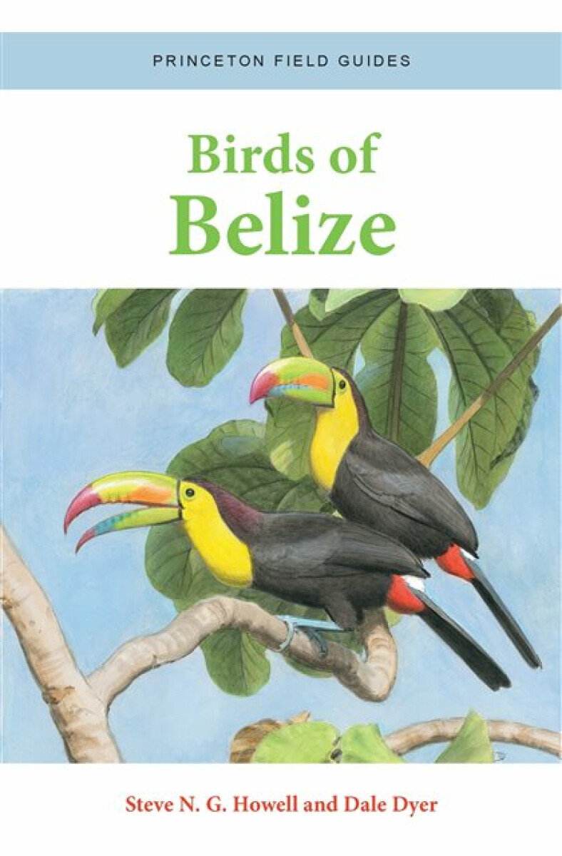 Kniha Birds of Belize