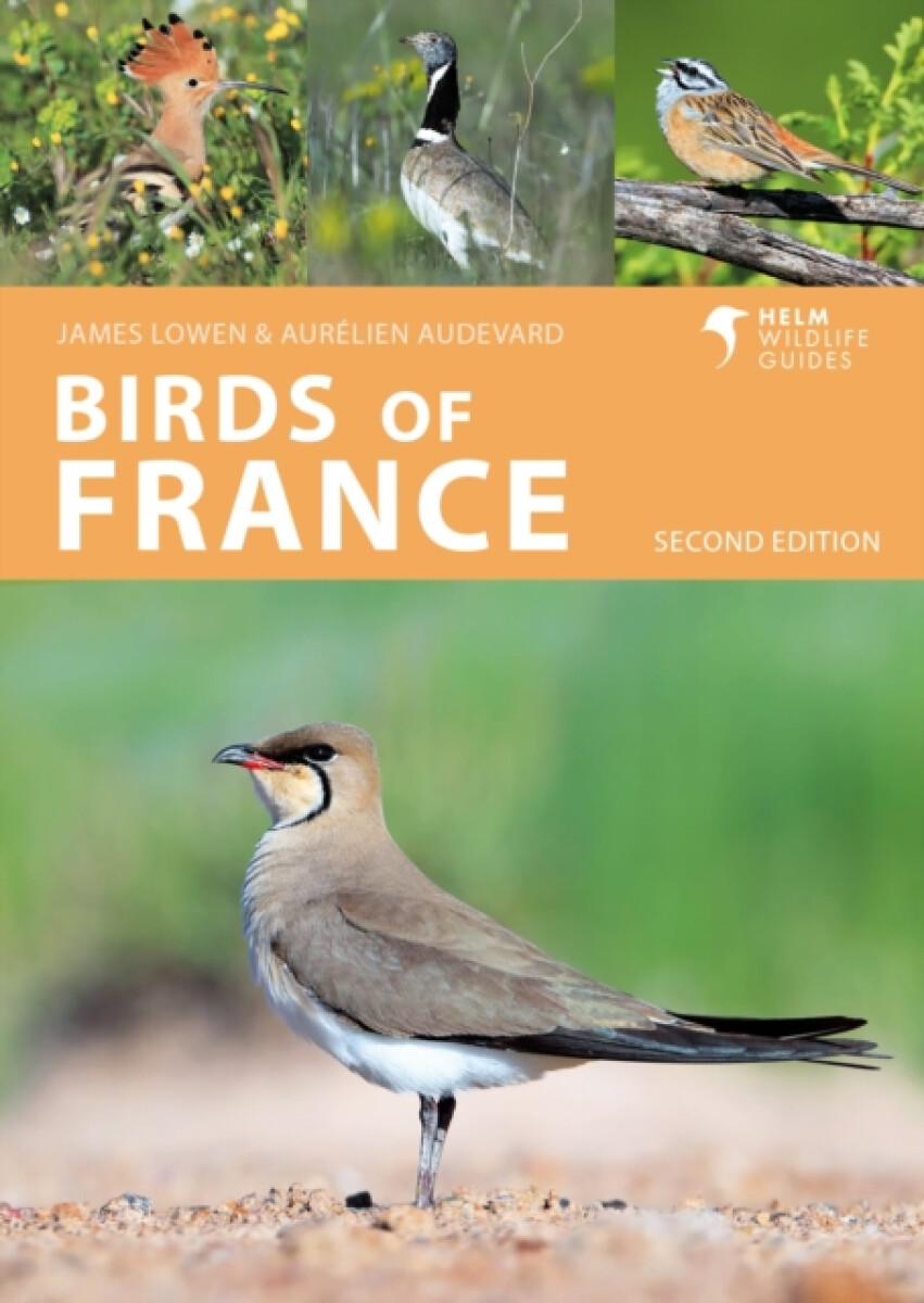 Kniha Birds of France