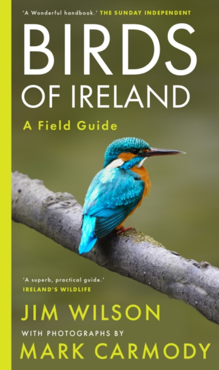 Kniha Birds of Ireland