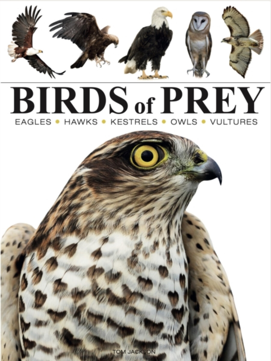 Kniha Birds of Prey