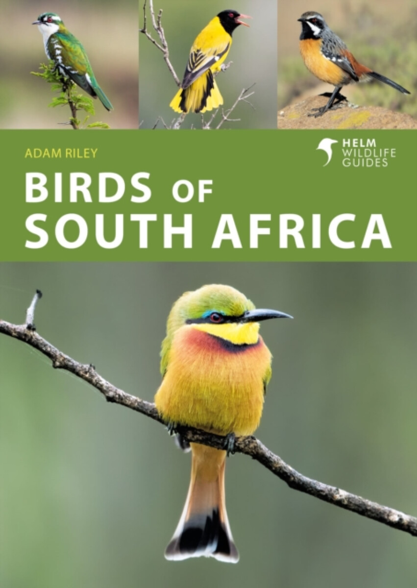 Kniha Birds of South Africa