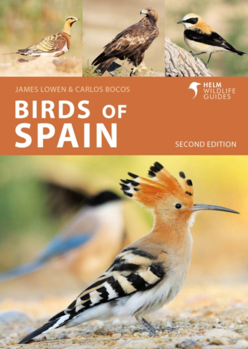 Kniha Birds of Spain