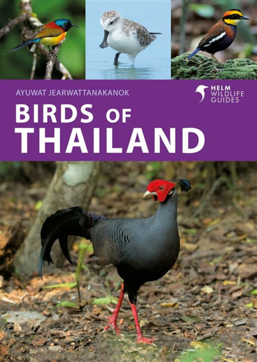 Kniha Birds of Thailand