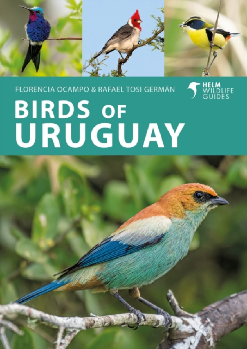 Kniha Birds of Uruguay