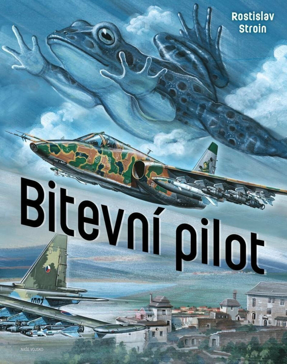 Kniha Bitevní pilot