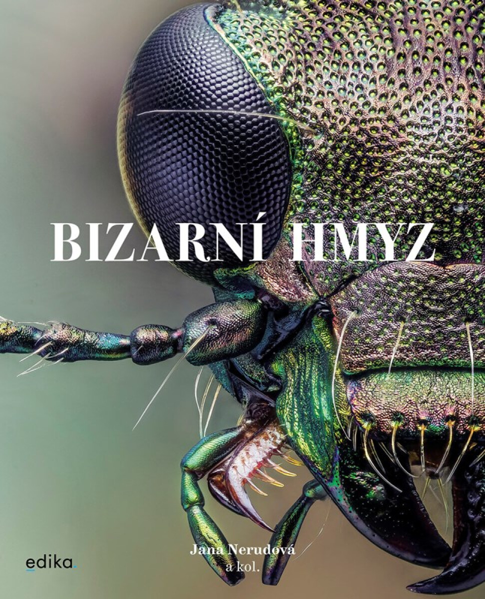 Kniha Bizarní hmyz