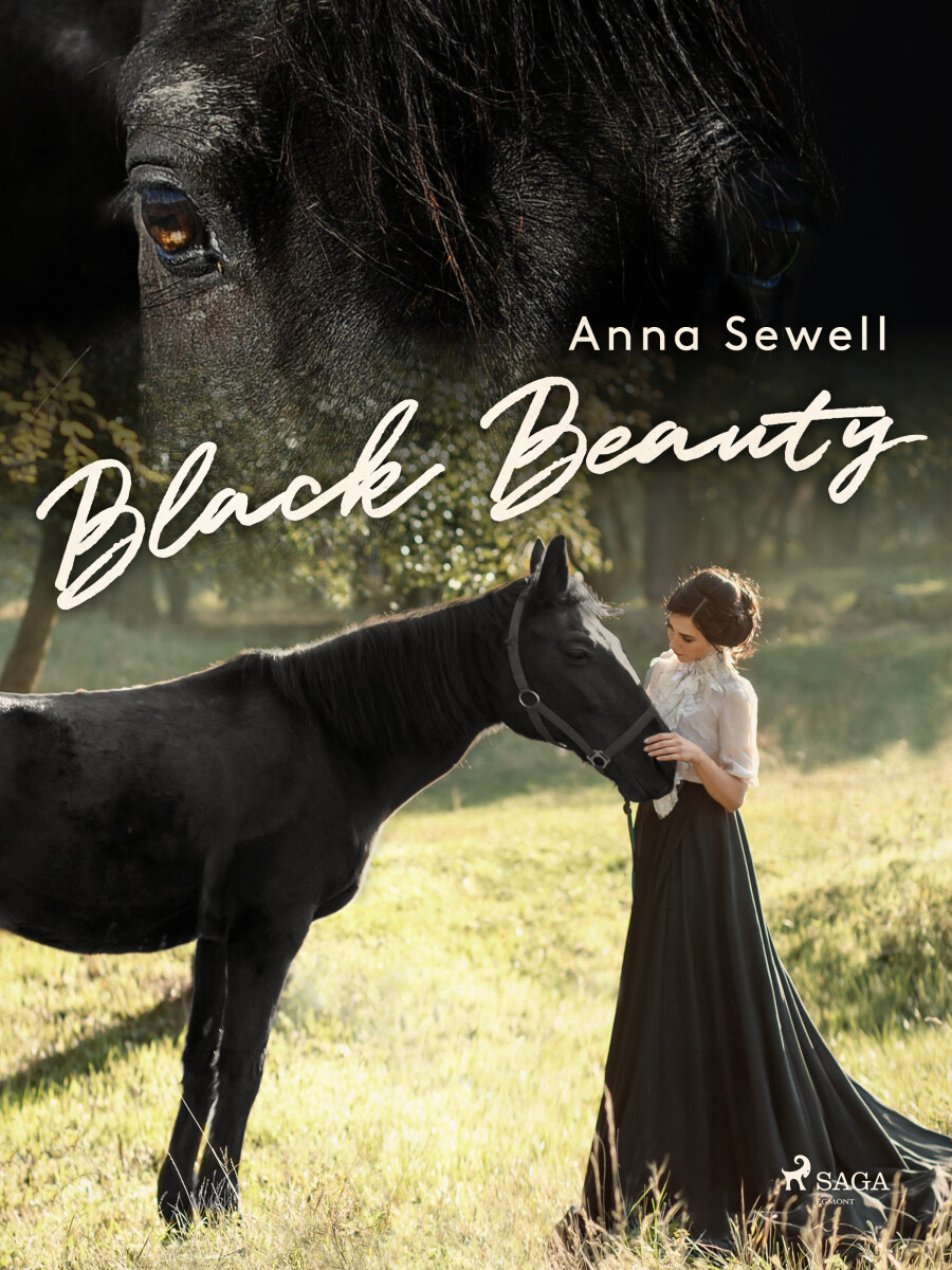 Levně Black Beauty - Anne Sewell