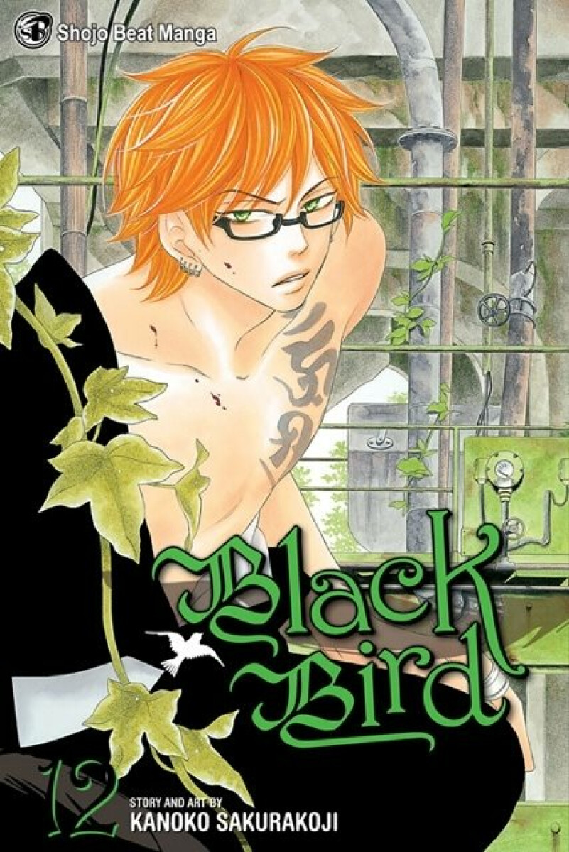 Kniha Black Bird, Vol. 12