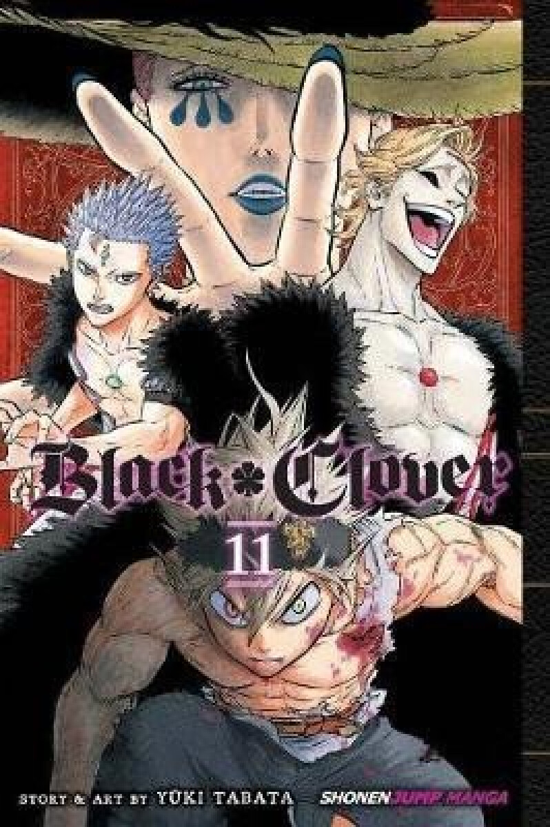 Kniha Black Clover 11