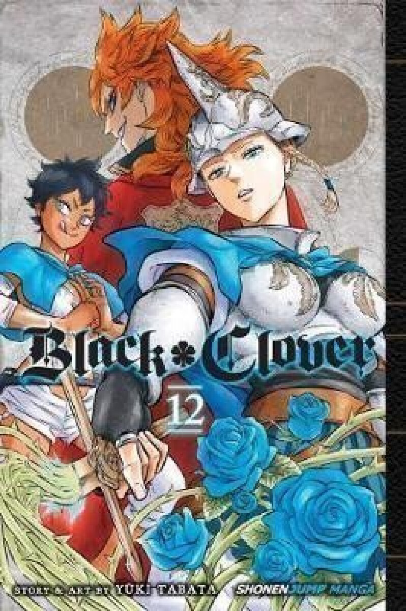 Kniha Black Clover 12
