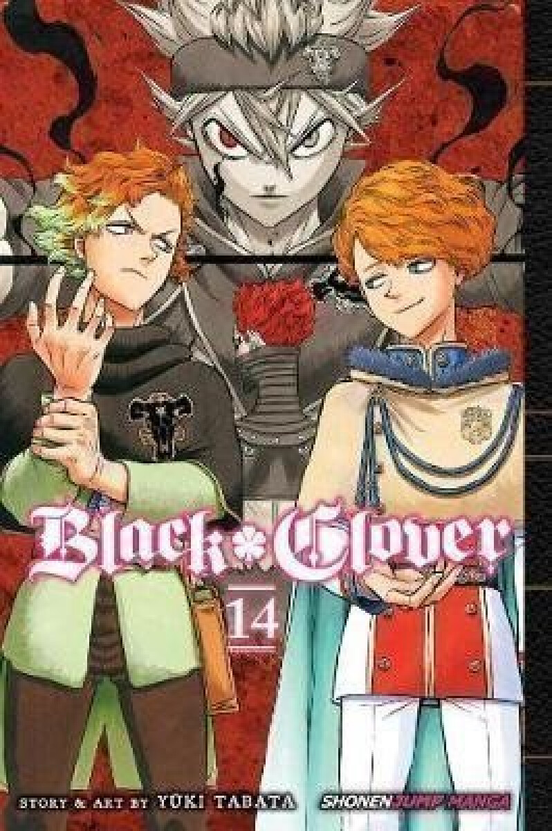 Kniha Black Clover 14