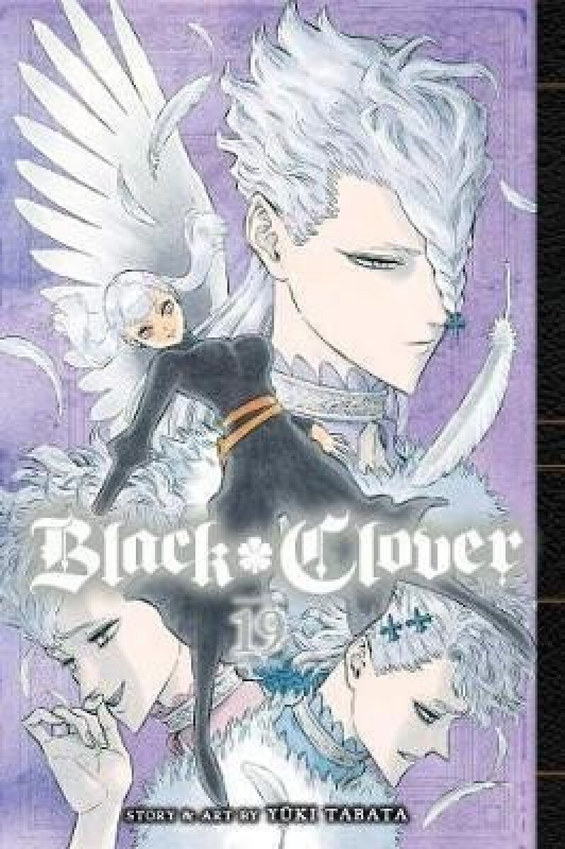 Kniha Black Clover 19