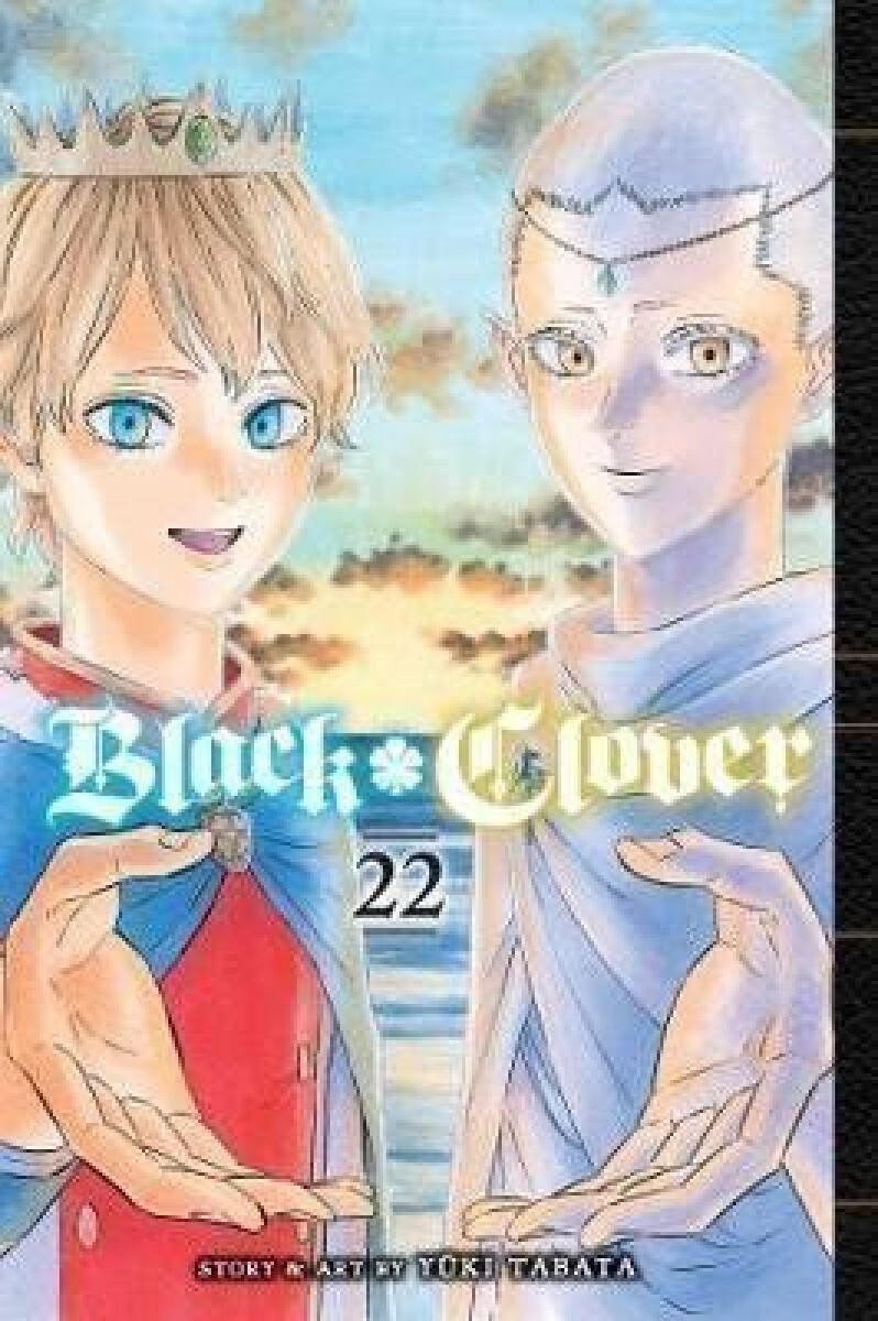 Kniha Black Clover 22