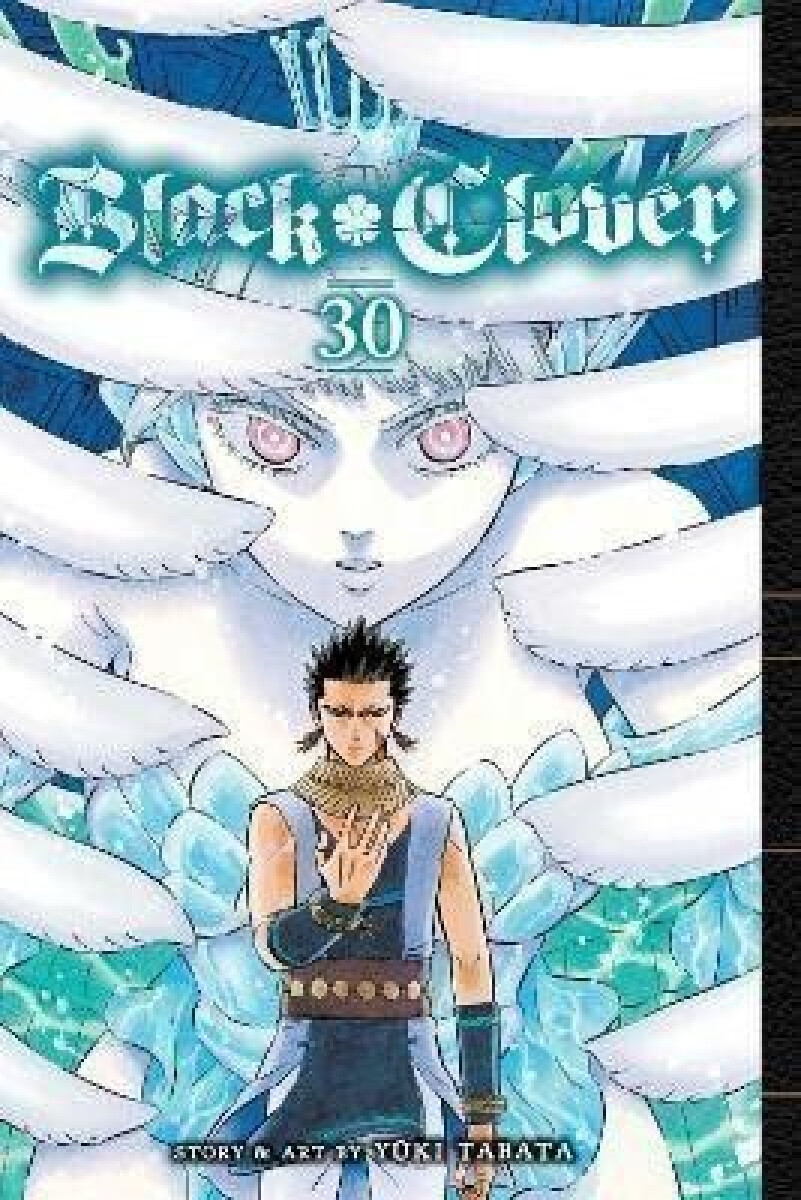 Black Clover, Vol. 30 koupíte na Knihydobrovsky.cz