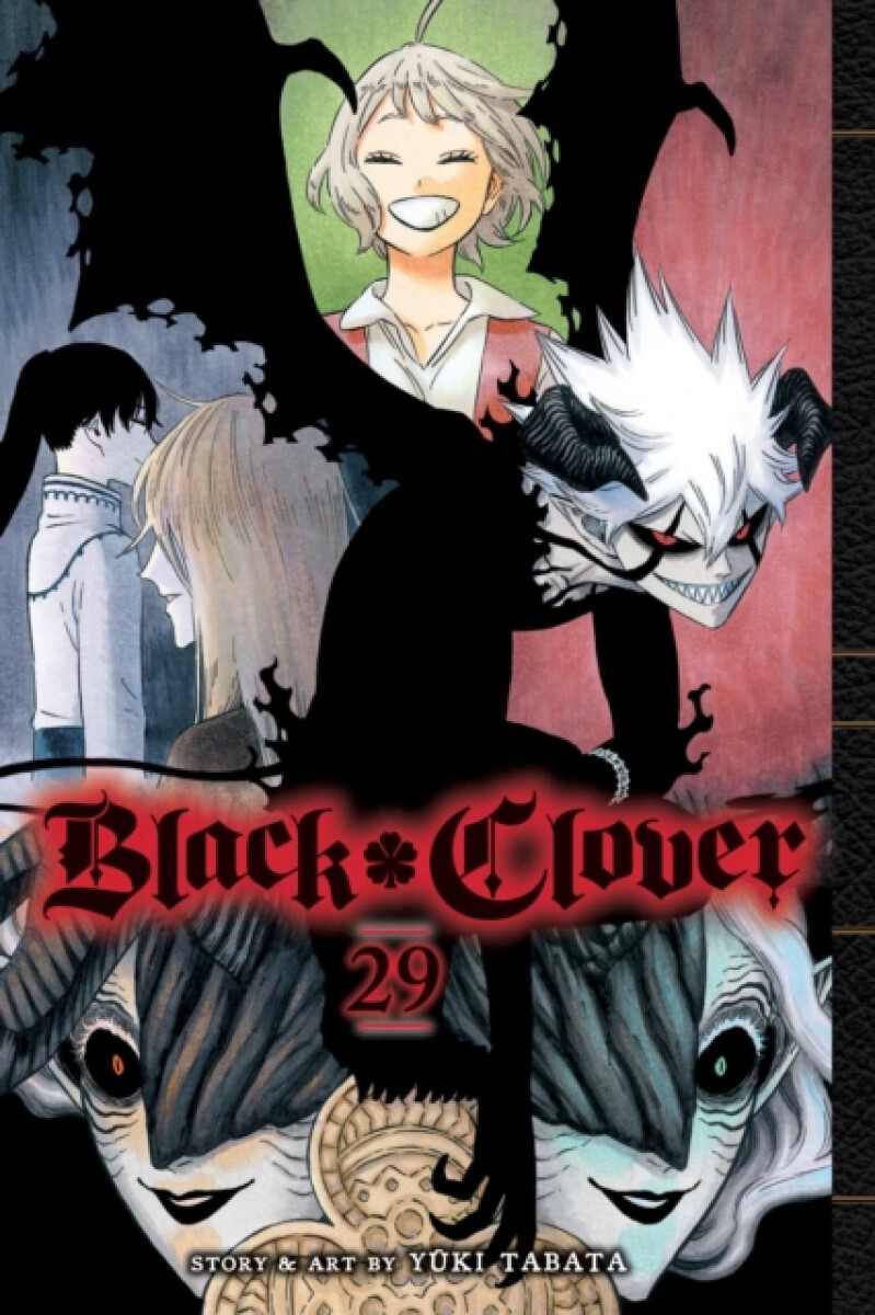 Kniha Black Clover 29