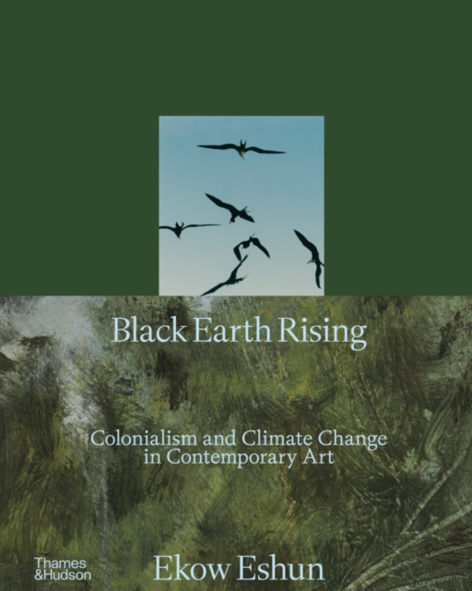 Kniha Black Earth Rising