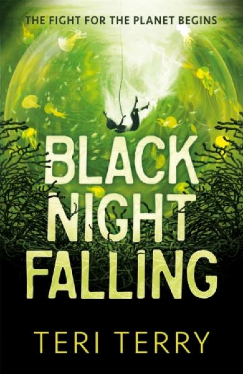 Kniha Black Night Falling