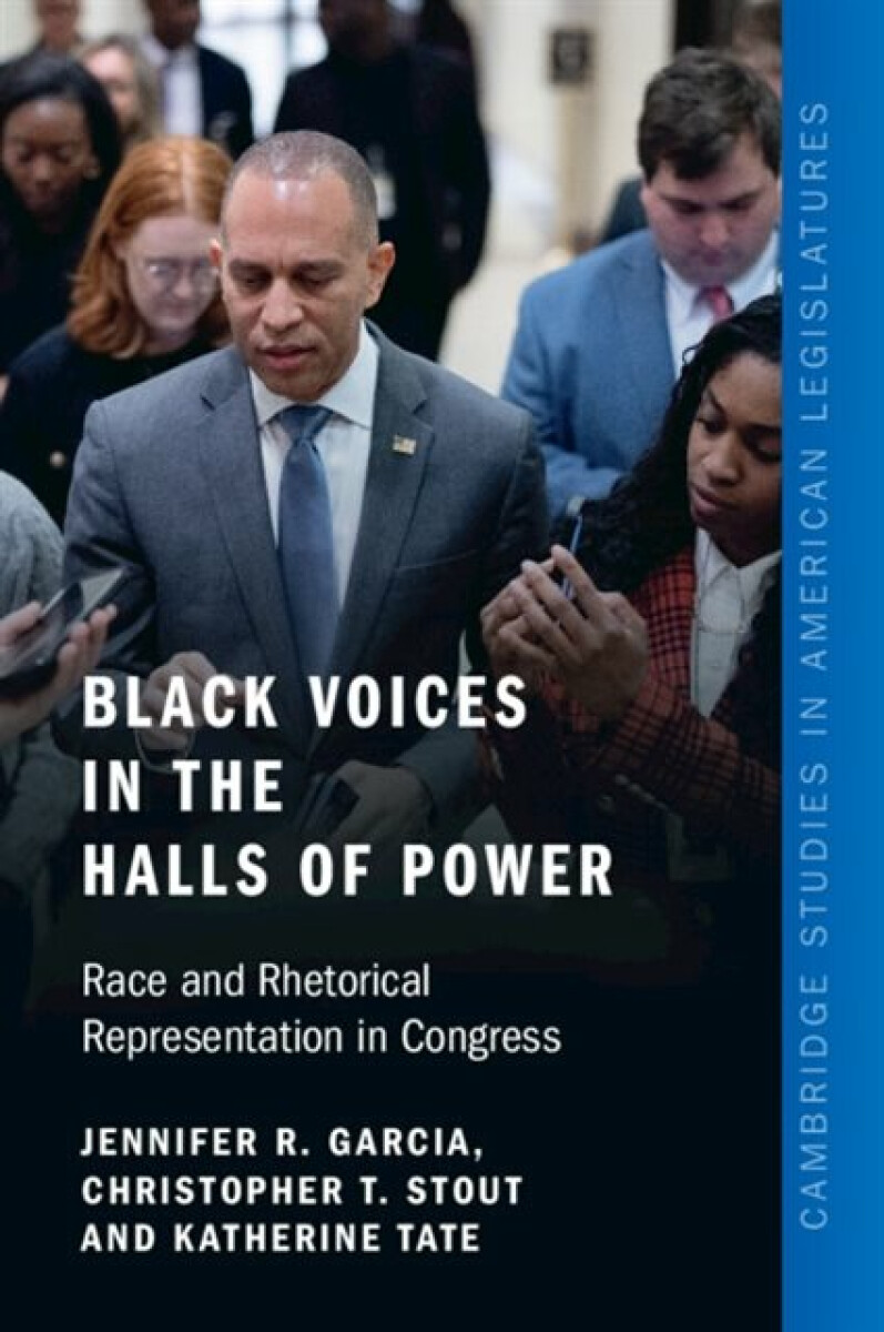 Kniha Black Voices in the Halls of Power