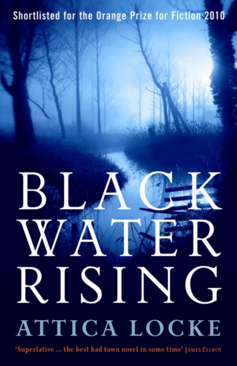 Kniha Black Water Rising