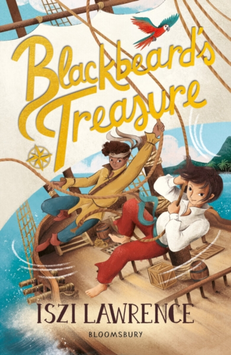 Kniha Blackbeard's Treasure