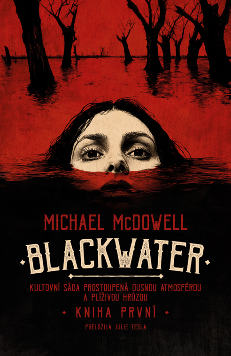 Blackwater: kniha první - Michael McDowell