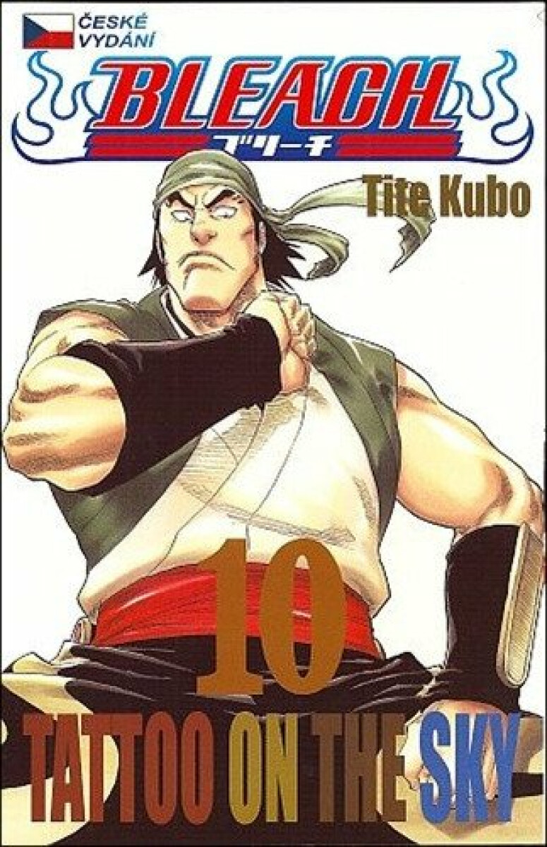Kniha Bleach 10: Tattoo on the Sky