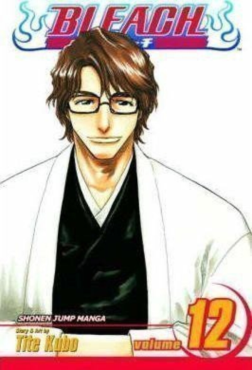 Kniha Bleach 12