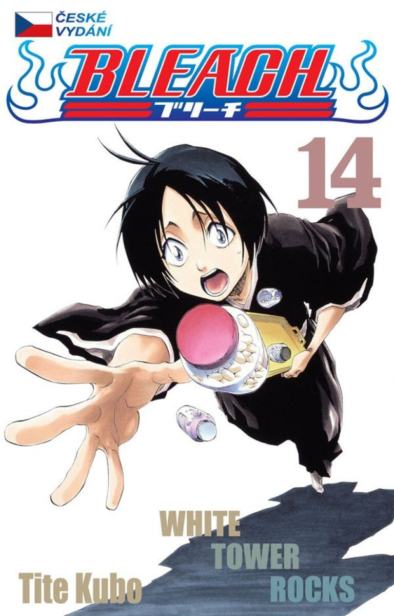 Kniha Bleach 14