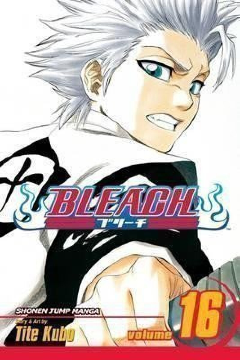 Kniha Bleach 16
