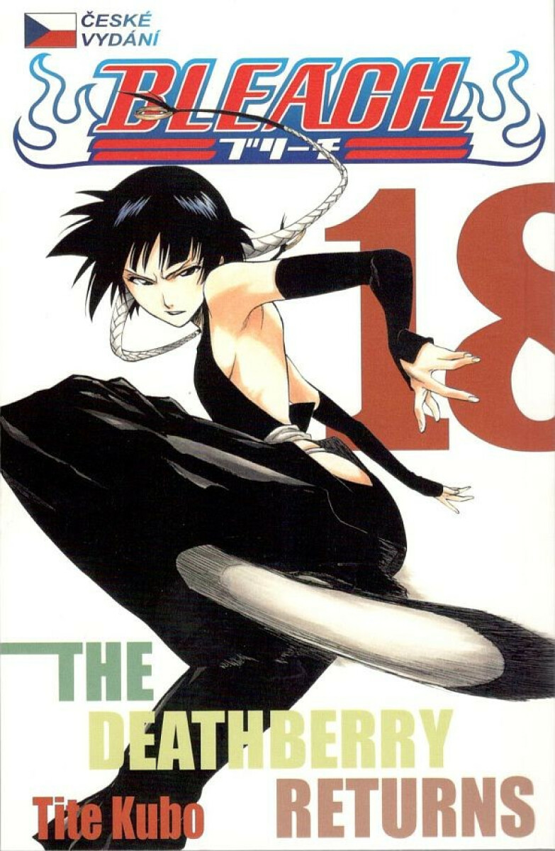 Kniha Bleach 18