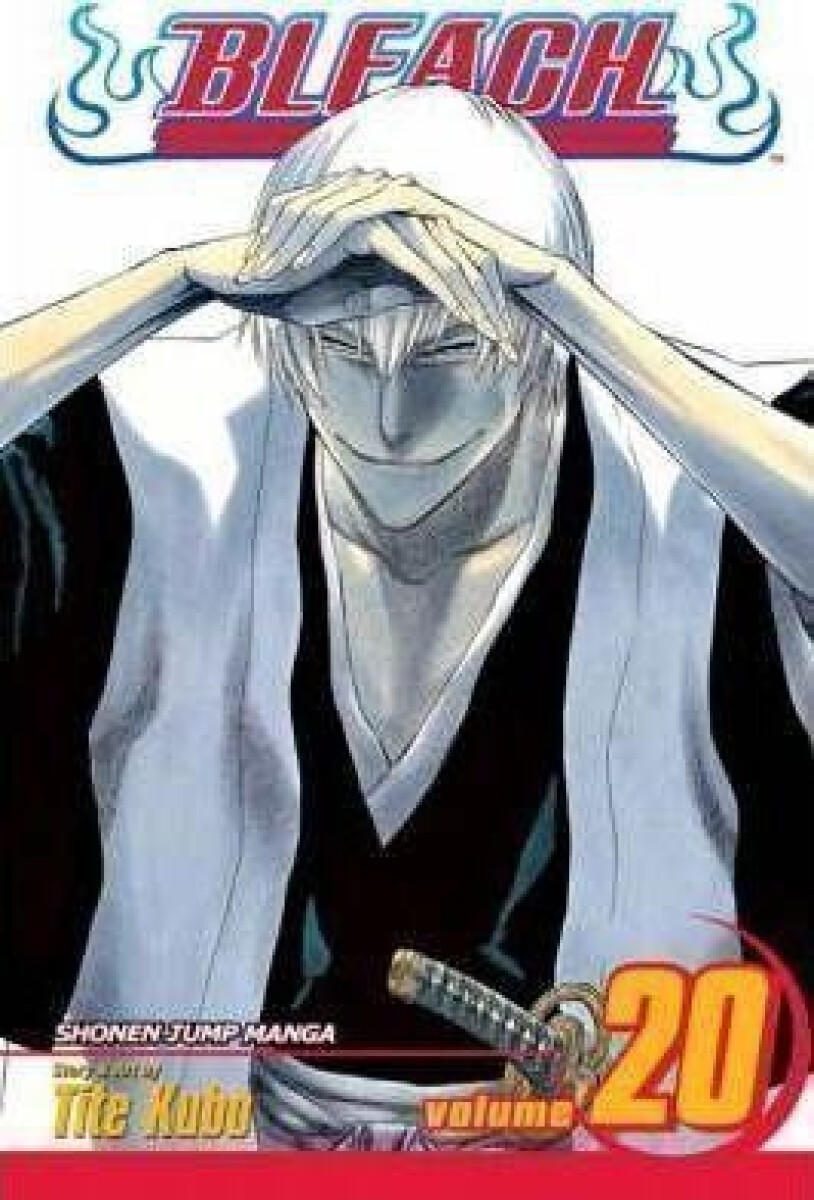 Kniha Bleach 20