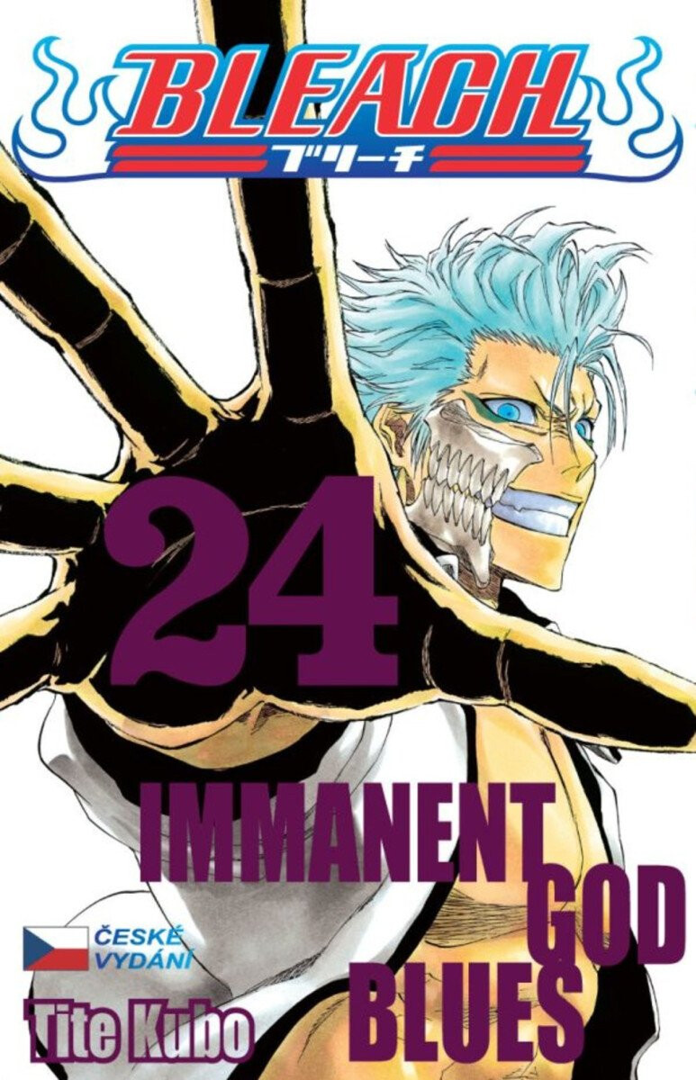 Kniha Bleach 24: Immanent God blues