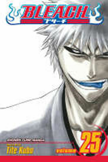 Kniha Bleach, Vol. 25